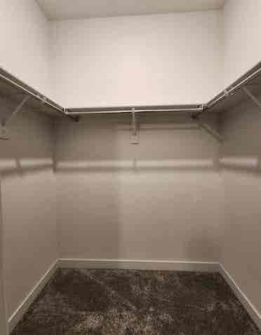 Looking for a roommate