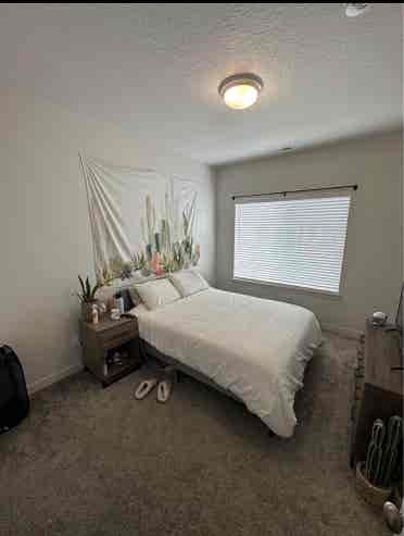 Looking for a roommate