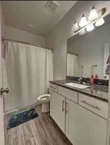 Looking for a roommate