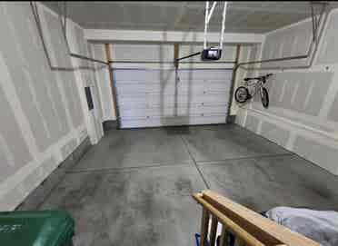 Looking for a roommate