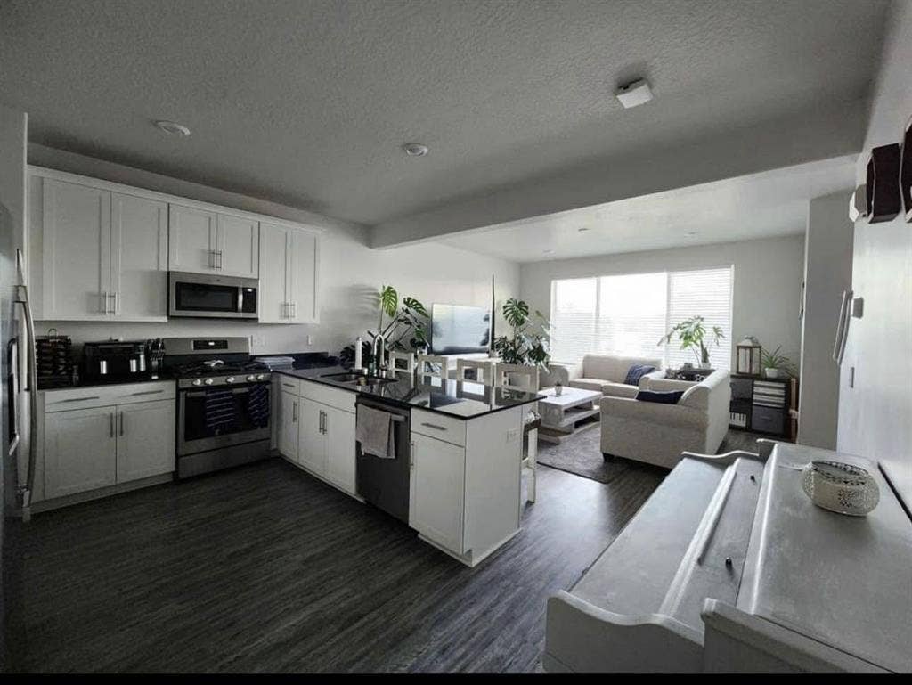 Looking for a roommate