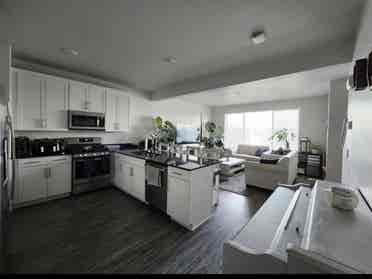 Looking for a roommate