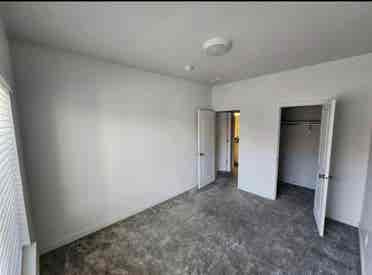 Looking for a roommate