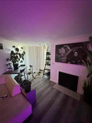 Looking for roommate West Hollywood
