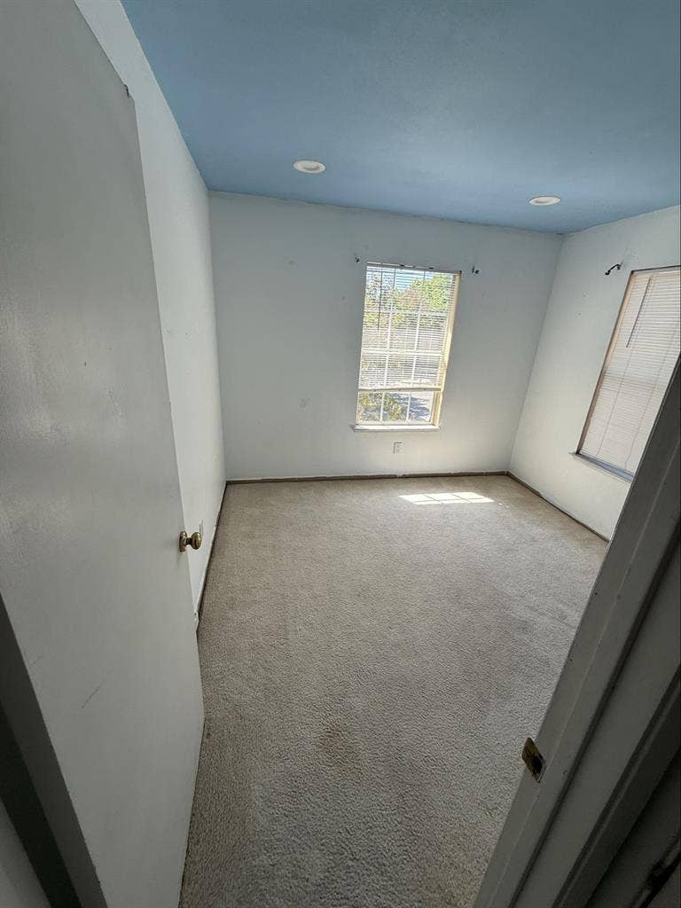 Urgently looking for a roommate