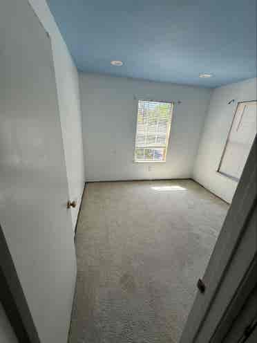 Urgently looking for a roommate