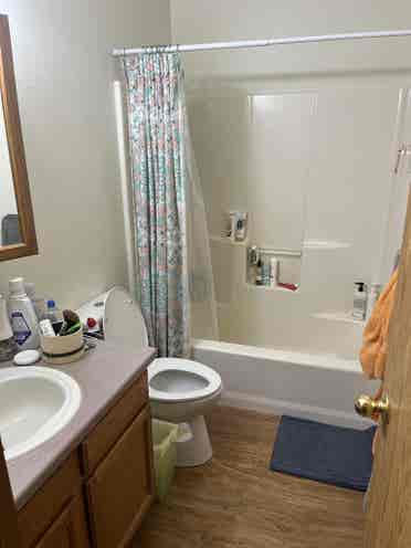 Roommate wanted
