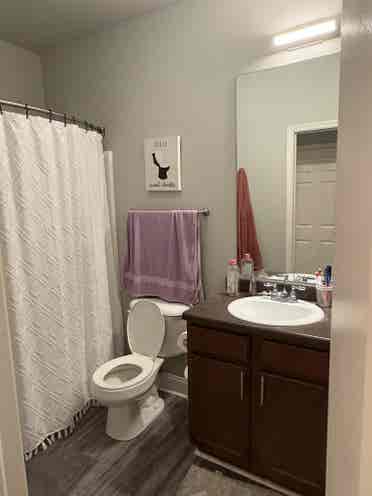 Bedroom/bathroom in an apartment