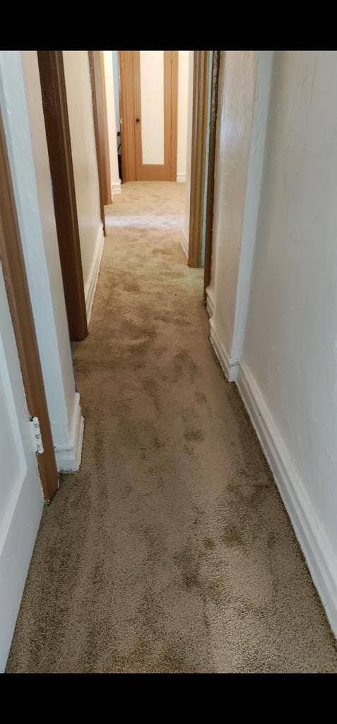 Looking for a Roommate (women)