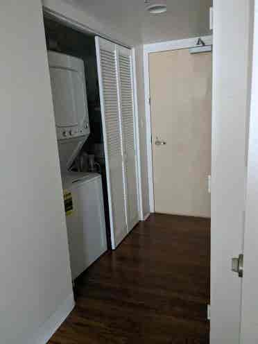 McCully/Makiki - move in June 1st