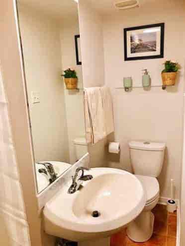 Bright and cozy apartment for rent