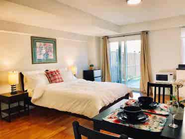 Bright and cozy apartment for rent