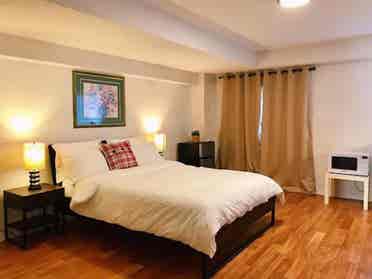 Bright and cozy apartment for rent