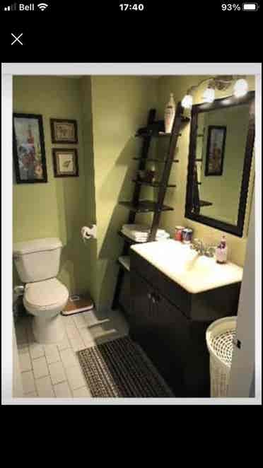 Montreal downtown, furnished condo.