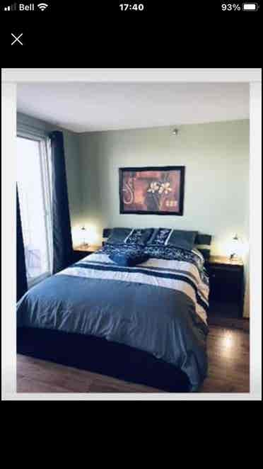 Montreal downtown, furnished condo.