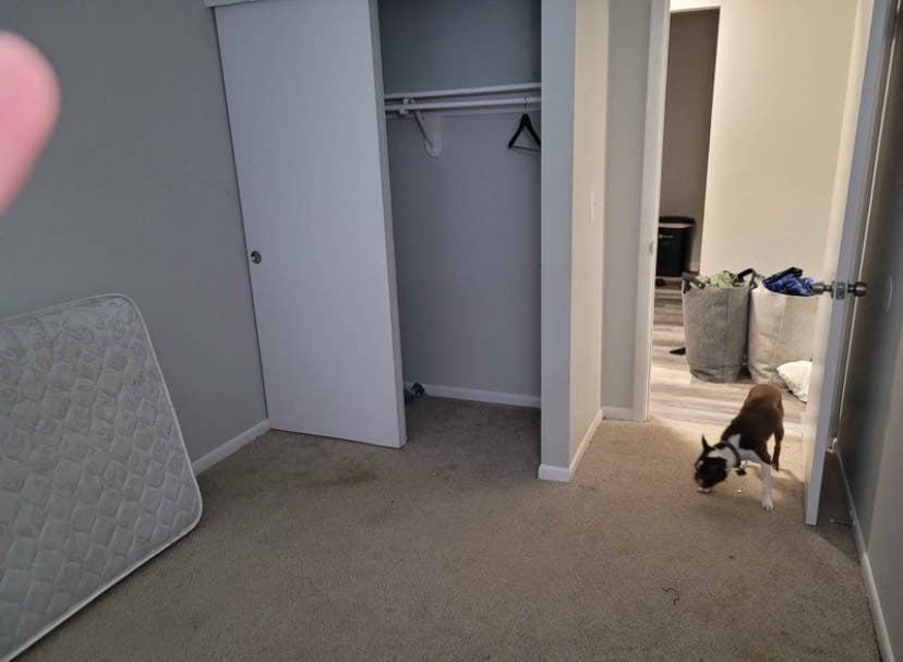 ROOM FOR RENT IN UP & COMING AREA