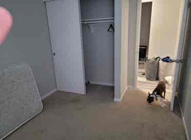 ROOM FOR RENT IN UP & COMING AREA