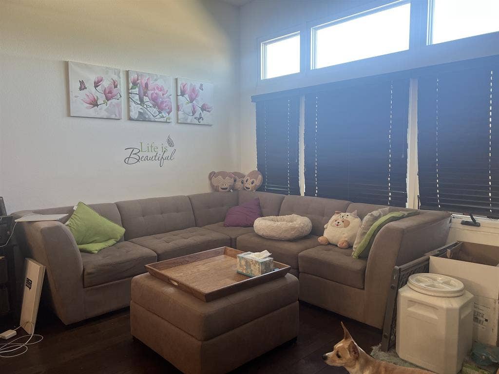 Room for Rent in Campbell