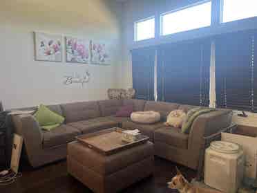 Room for Rent in Campbell