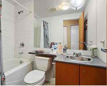 Studio 1 Bath Apartment
