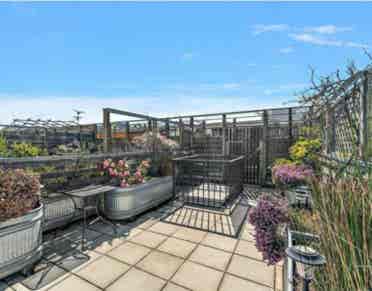 Studio 1 Bath Apartment