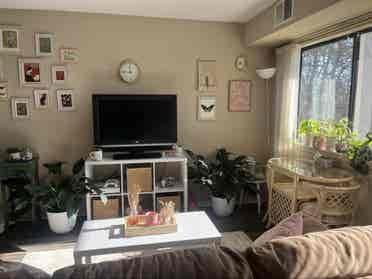 Room for rent!