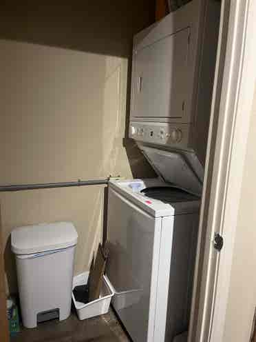 Room for rent!