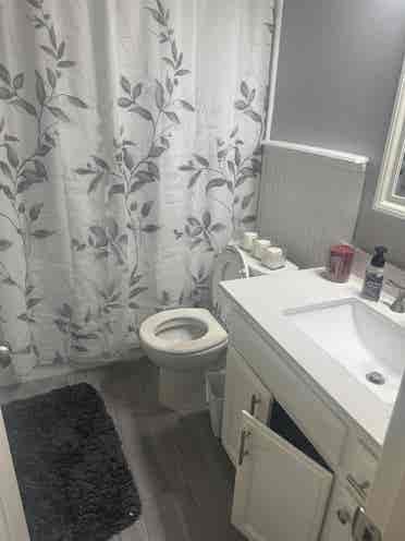 Seeking roommate in Frisco!
