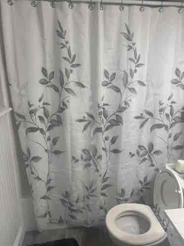Seeking roommate in Frisco!