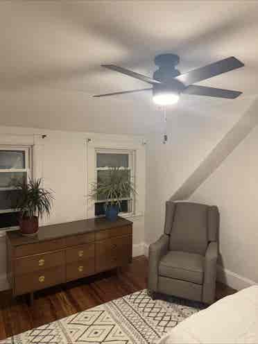 Room in Beautiful Hyde Park Area