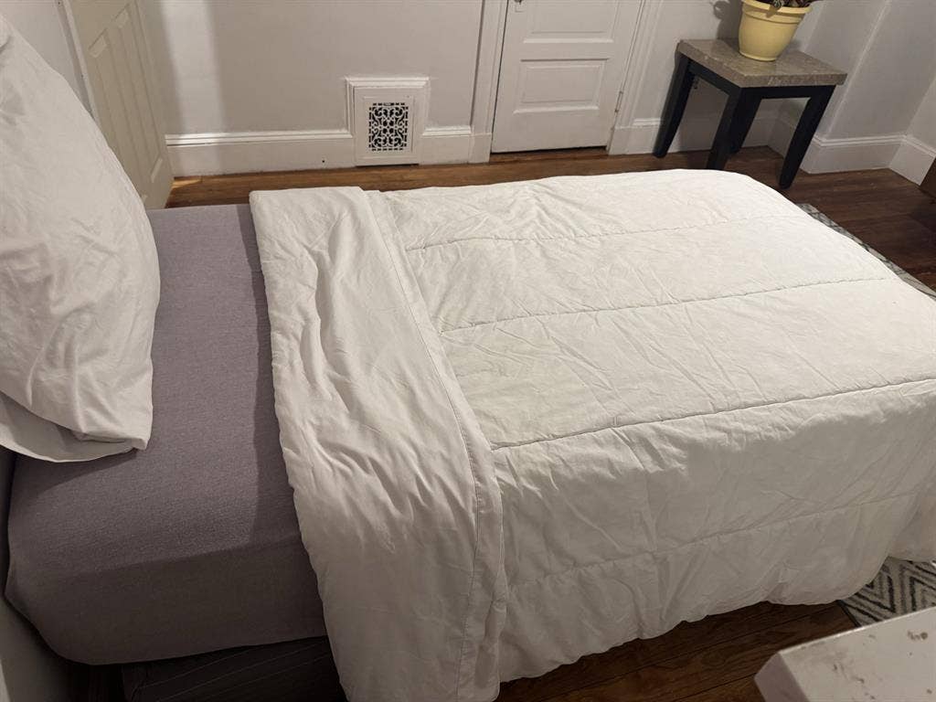 Room in Beautiful Hyde Park Area
