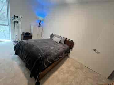 Lux, Furnished Room+Bath in HWood