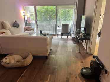 Lux, Furnished Room+Bath in HWood
