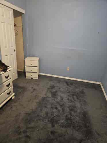 1 bedroom available in two bedroom