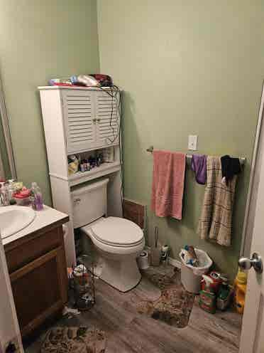 1 bedroom available in two bedroom