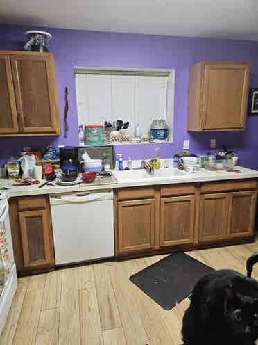 1 bedroom available in two bedroom