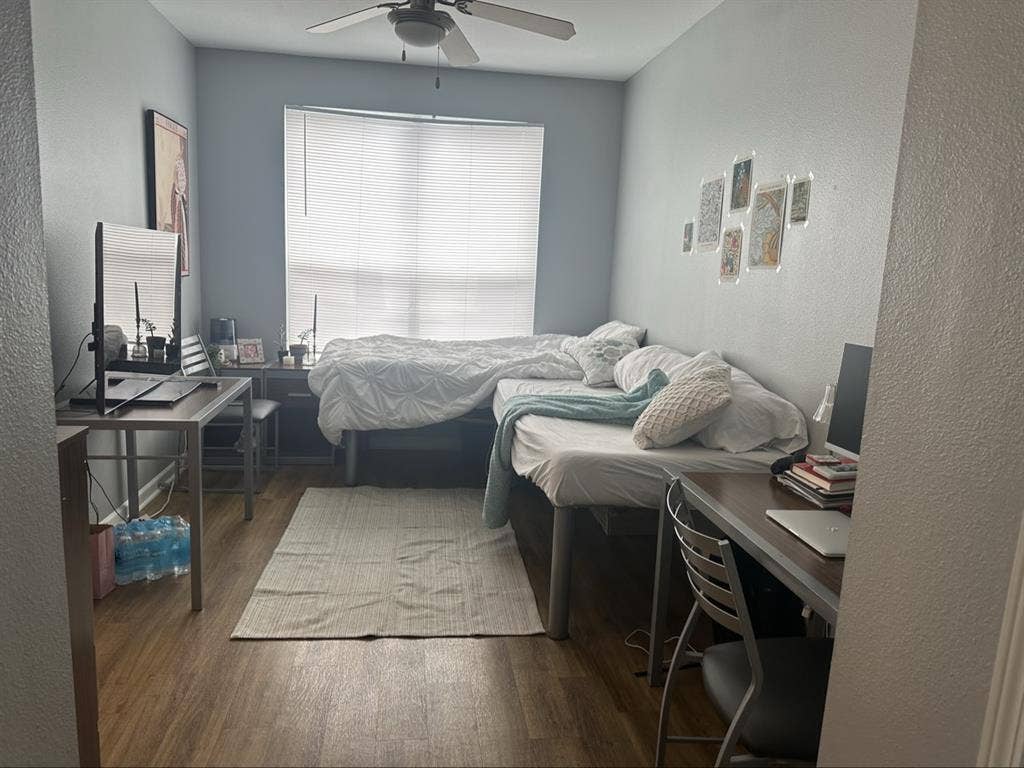 Looking for roommate female