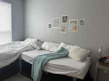 Looking for roommate female