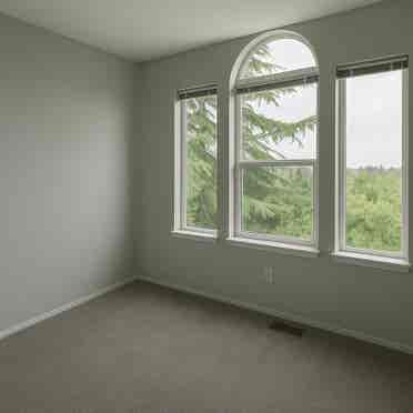 Room with a View