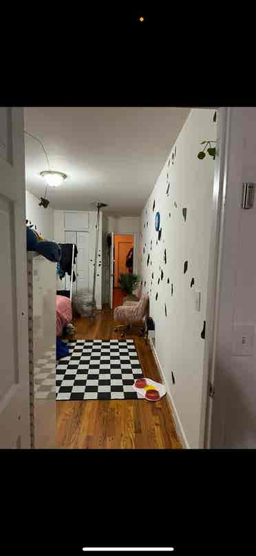 Seeking Roomate