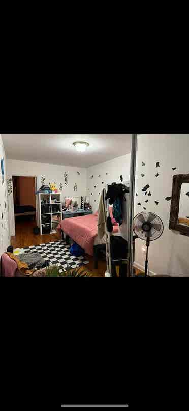 Seeking Roomate