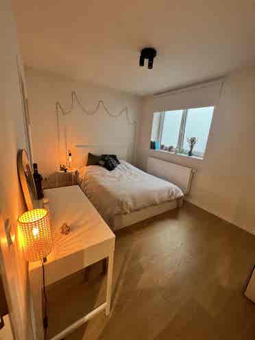 FOR RENT - from /