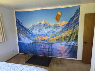 Quiet Golden room available