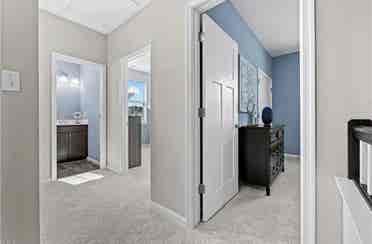 Room for Rent in Carrollton