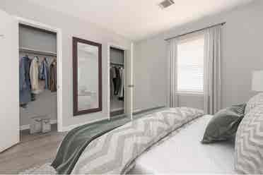 Need a roommate!