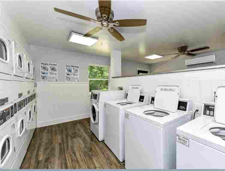 Looking for Roommates from Jul