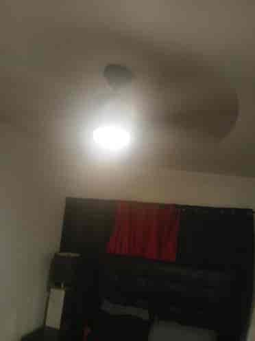 Nice room available