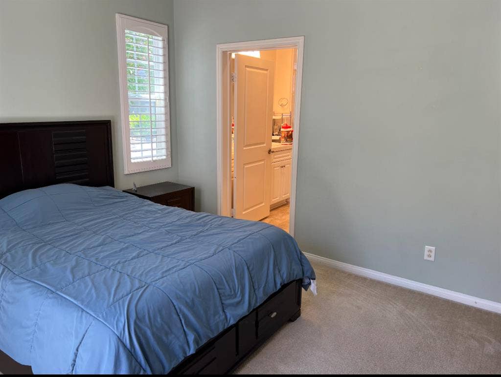 Bright 1st Floor Master Bedroom