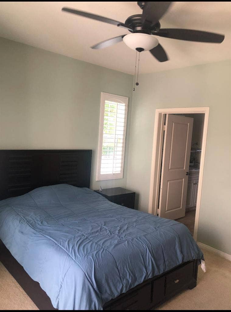 Bright 1st Floor Master Bedroom