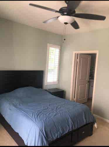 Bright 1st  Floor Master Bedroom
